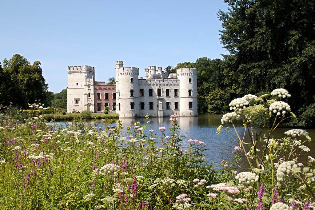 Plantentuin Meise belgie plantentuin kasteel van Bouchout Nymphaea nenuphar Waterlelie kas serre plantenkas hdr botanische tuin